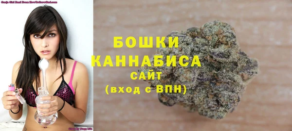 эйфоретик Анжеро-Судженск