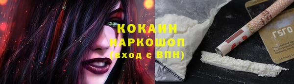 шишки Анива