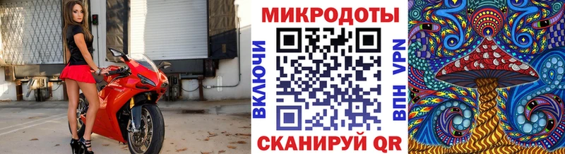 Галлюциногенные грибы Cubensis  Оса 